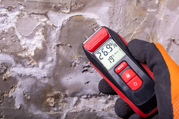 Reliable Petaluma, CA Mold Removal Solutions